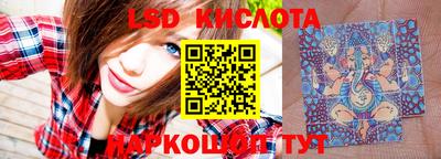 гидропоника Гусев
