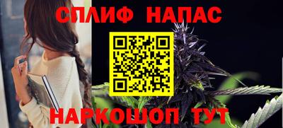 гидропоника Гусев
