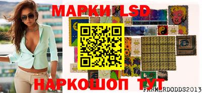 гидропоника Гусев