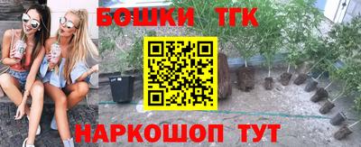 гидропоника Гусев