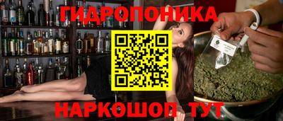шишки Гусиноозёрск