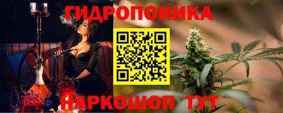 шишки Гусиноозёрск